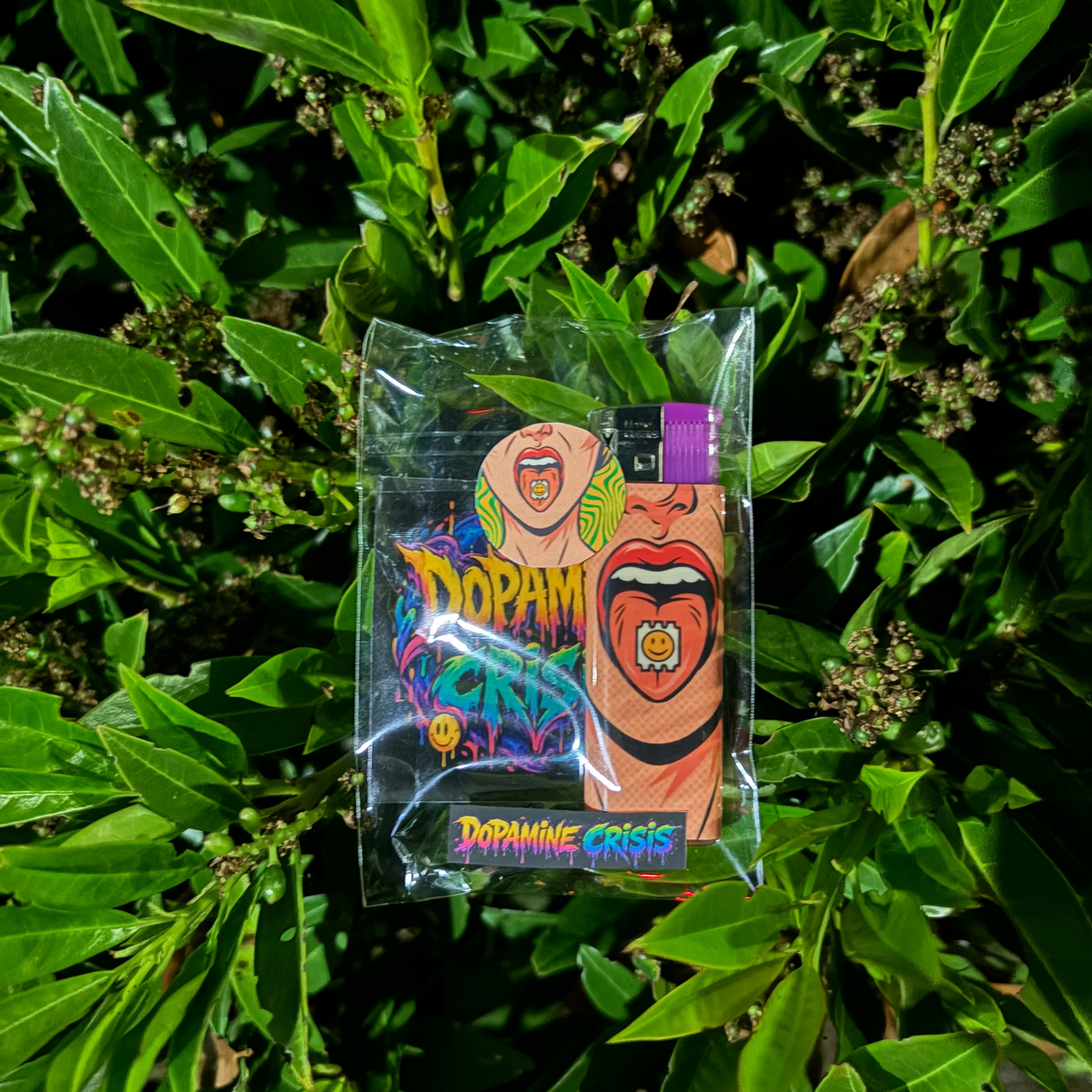 LSD POP